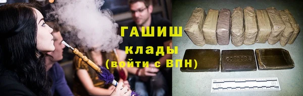 гашик Пестово