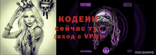 молекула духа Балахна