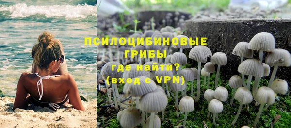 mdpv Переславль-Залесский