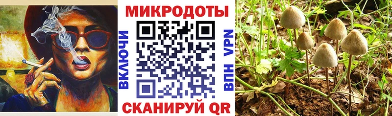 МЕГА ТОР  Бугуруслан  Псилоцибиновые грибы MAGIC MUSHROOMS  сколько стоит 